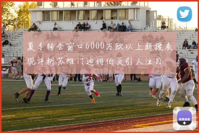 夏季转会窗口6000万欧以上新援表现评析苏维门迪姆伯莫引人注目