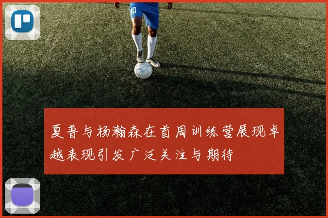 夏普与杨瀚森在首周训练营展现卓越表现引发广泛关注与期待