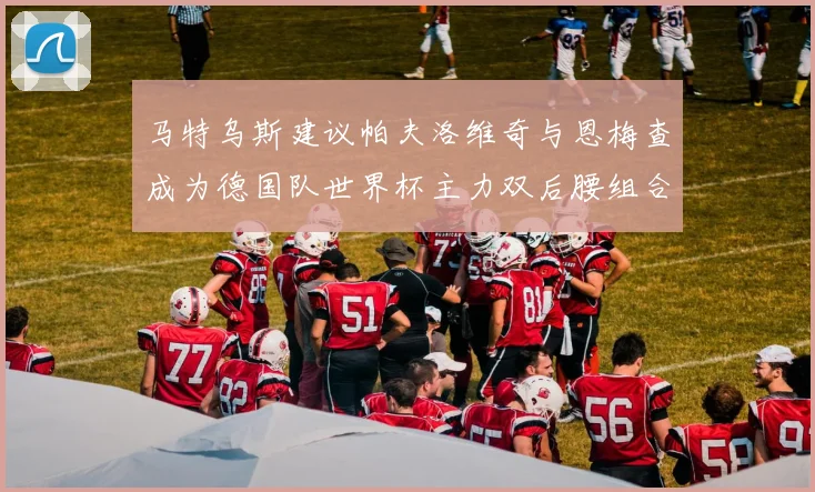 马特乌斯建议帕夫洛维奇与恩梅查成为德国队世界杯主力双后腰组合